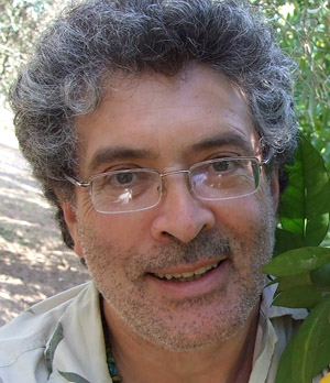 Paulo Heitlinger